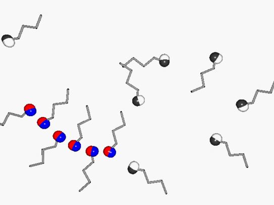 Transiente Wasserstoffbrückenketten. Monoalkohole mit terminalen OH-Gruppen bilden über Wasserstoffbrückenbindung polymerartige Ketten, welche in der Länge und beteiligter Moleküle mit der Zeit fluktuieren.